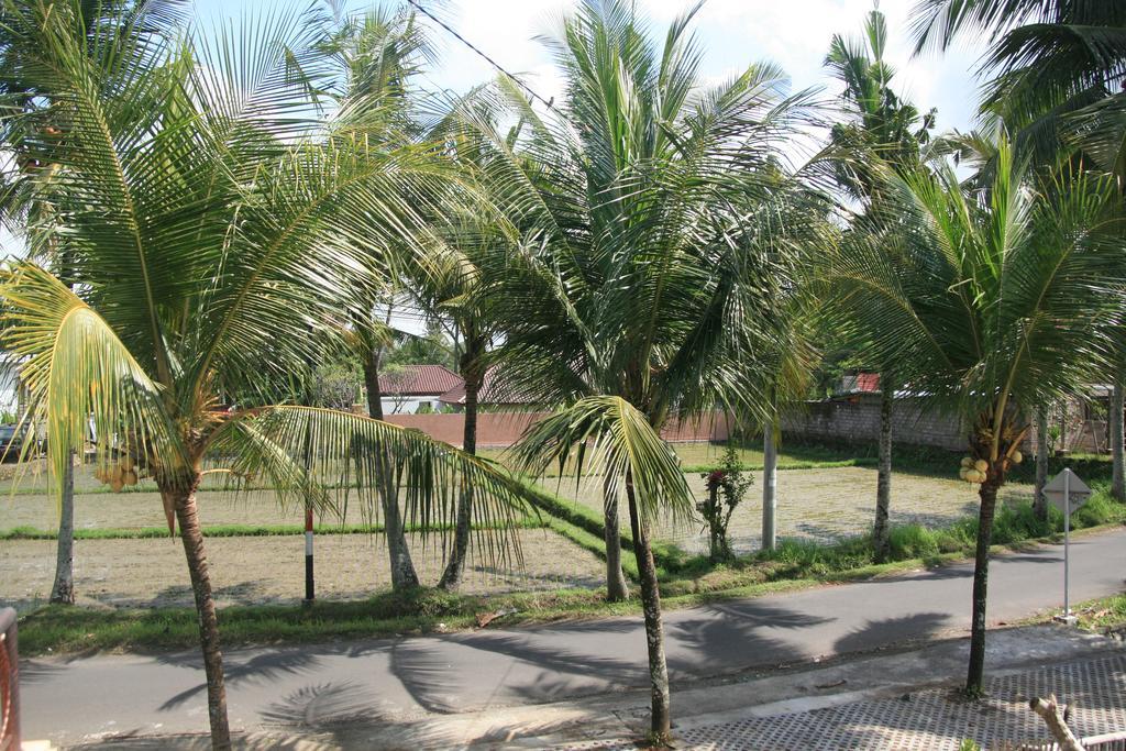 Gusti Rai House Hotel Ubud Kültér fotó